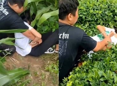 Cưỡng bức cô bạn cùng lớp trên cánh đồng ngô